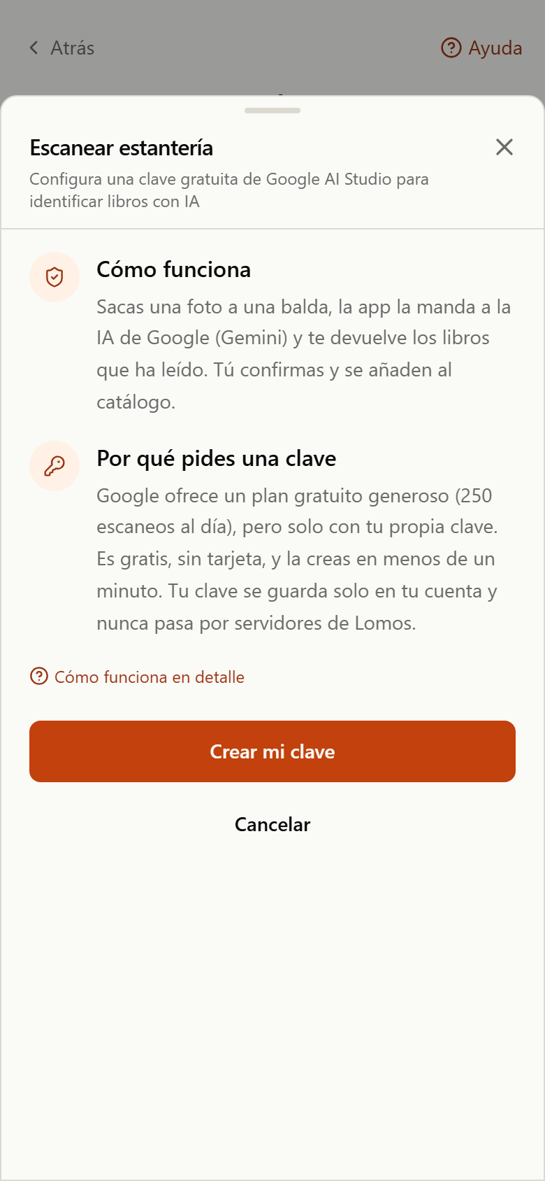 Pantalla de configuración con los pasos para crear la clave de Google AI Studio y el campo para pegarla